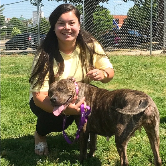 Meet your posher, Kate - Picture 5 of 10